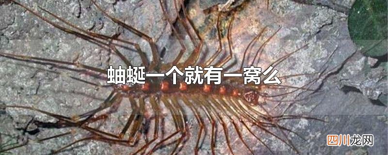 蚰蜒一个就有一窝么