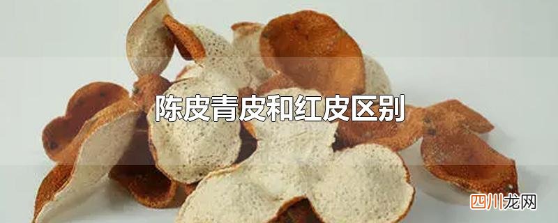 陈皮青皮和红皮区别