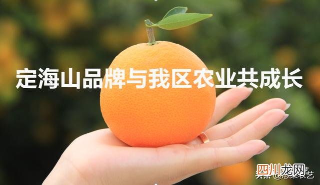 六 五年种植需要品牌吗？