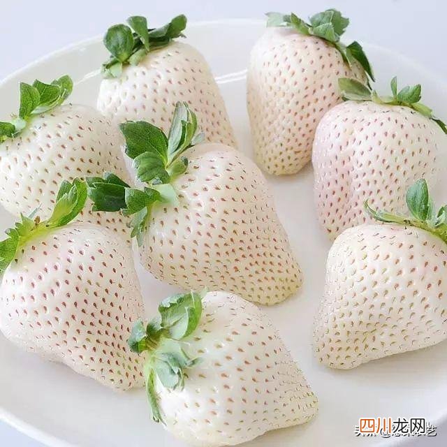 三 五年：统一的大市场