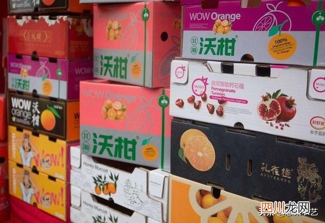 三 五年：统一的大市场