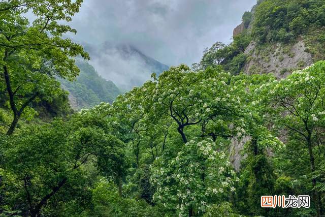四天三夜打卡“中国三山五岳”三山之一雁荡山