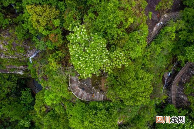 四天三夜打卡“中国三山五岳”三山之一雁荡山