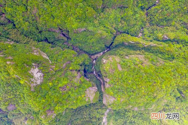 四天三夜打卡“中国三山五岳”三山之一雁荡山