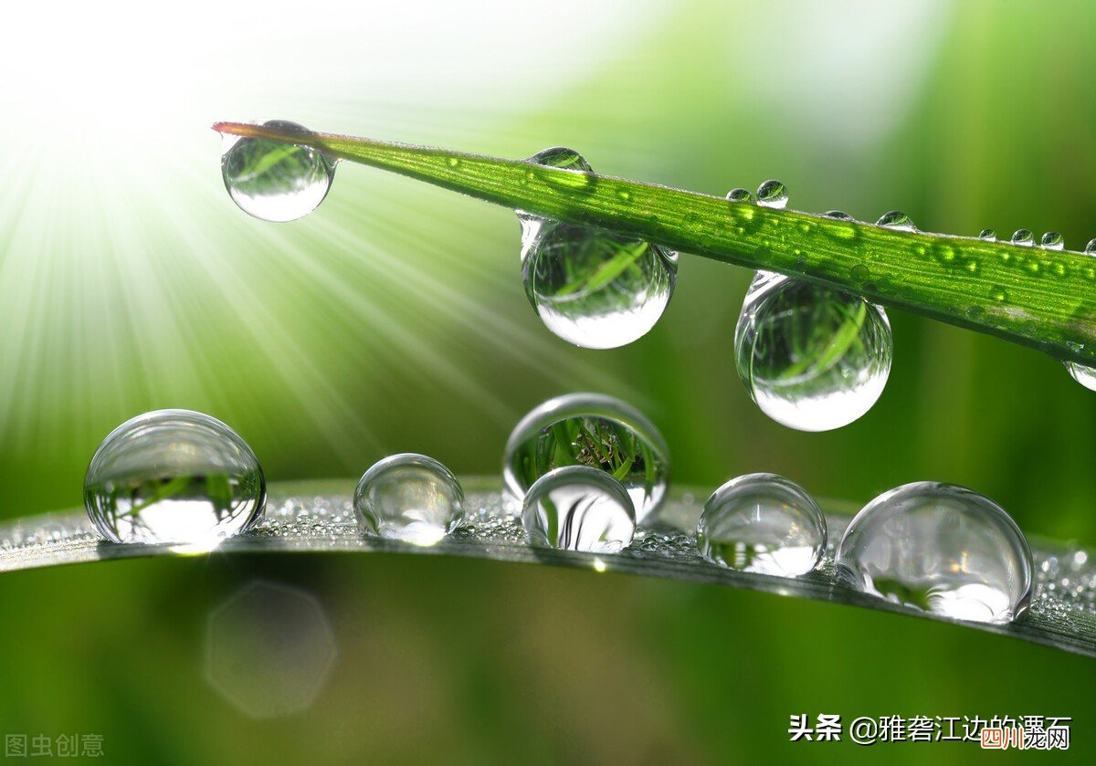 uc下一页：懂规矩 守底线 努力做一个平安而健康的人