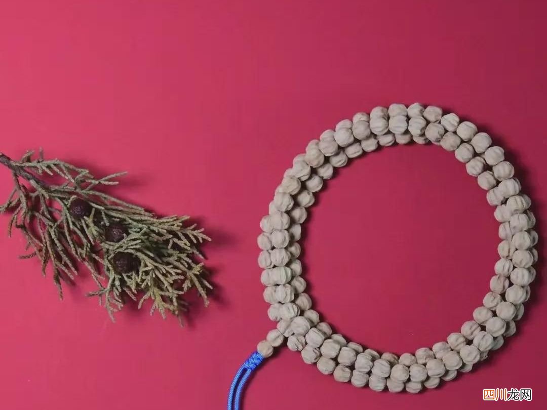 百香籽百科：你的百香籽是热振寺的吗？不懂必看！！