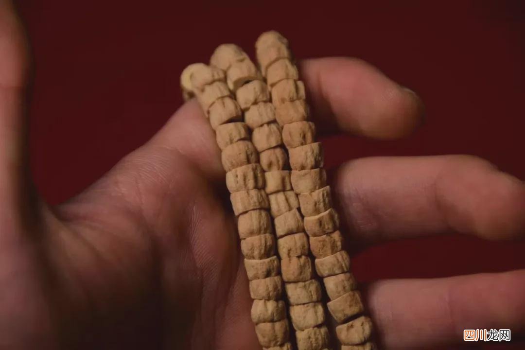 百香籽百科：你的百香籽是热振寺的吗？不懂必看！！