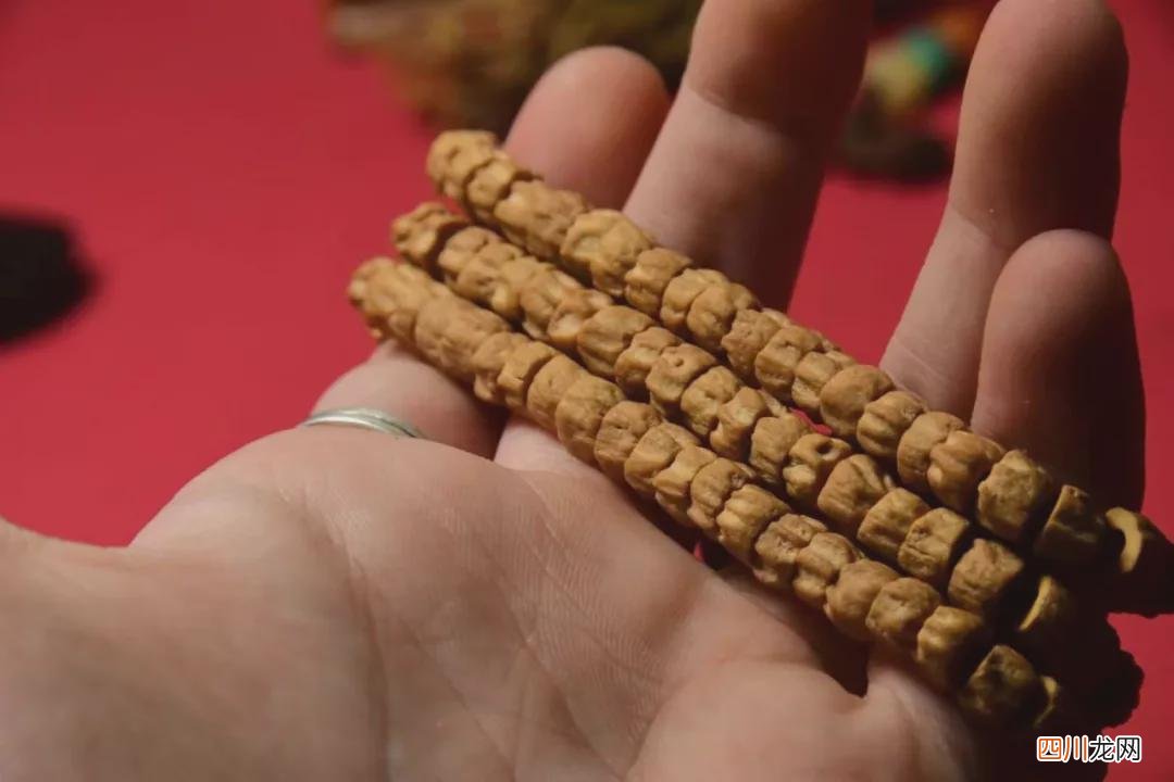 百香籽百科：你的百香籽是热振寺的吗？不懂必看！！