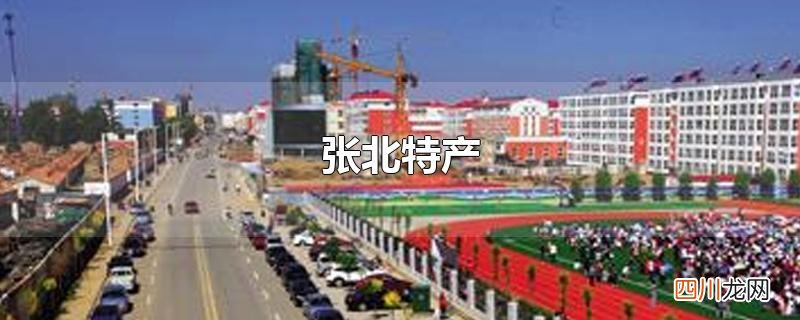 张北特产