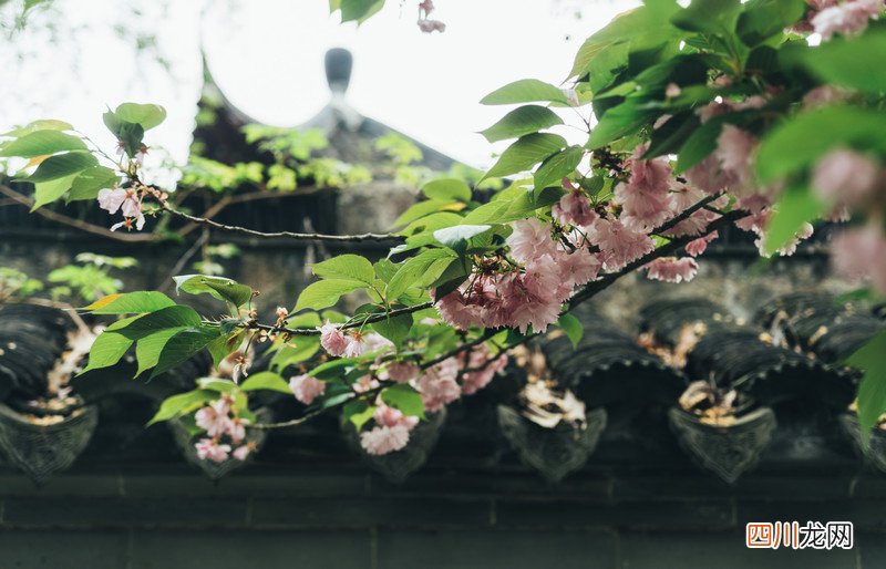 邂逅镇江｜与千百年的岁月对谈