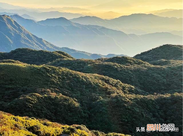 猫儿山的壮美日出和璀璨星空，不愧为“五岭之首、华南之巅”