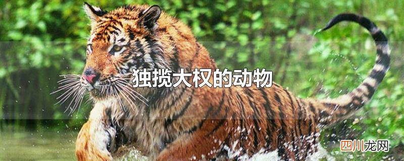独揽大权的动物