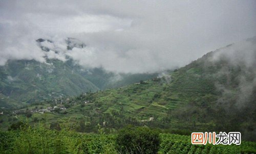 青山处处埋忠骨何须马革裹尸还的意思 原来不是龚自珍的诗