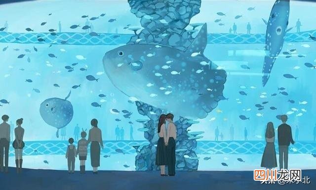 原来不爱你的人一点也不心疼你的执着 如果对方不爱了，你就别再执着了