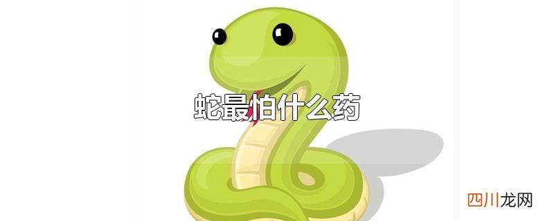 蛇最怕什么药