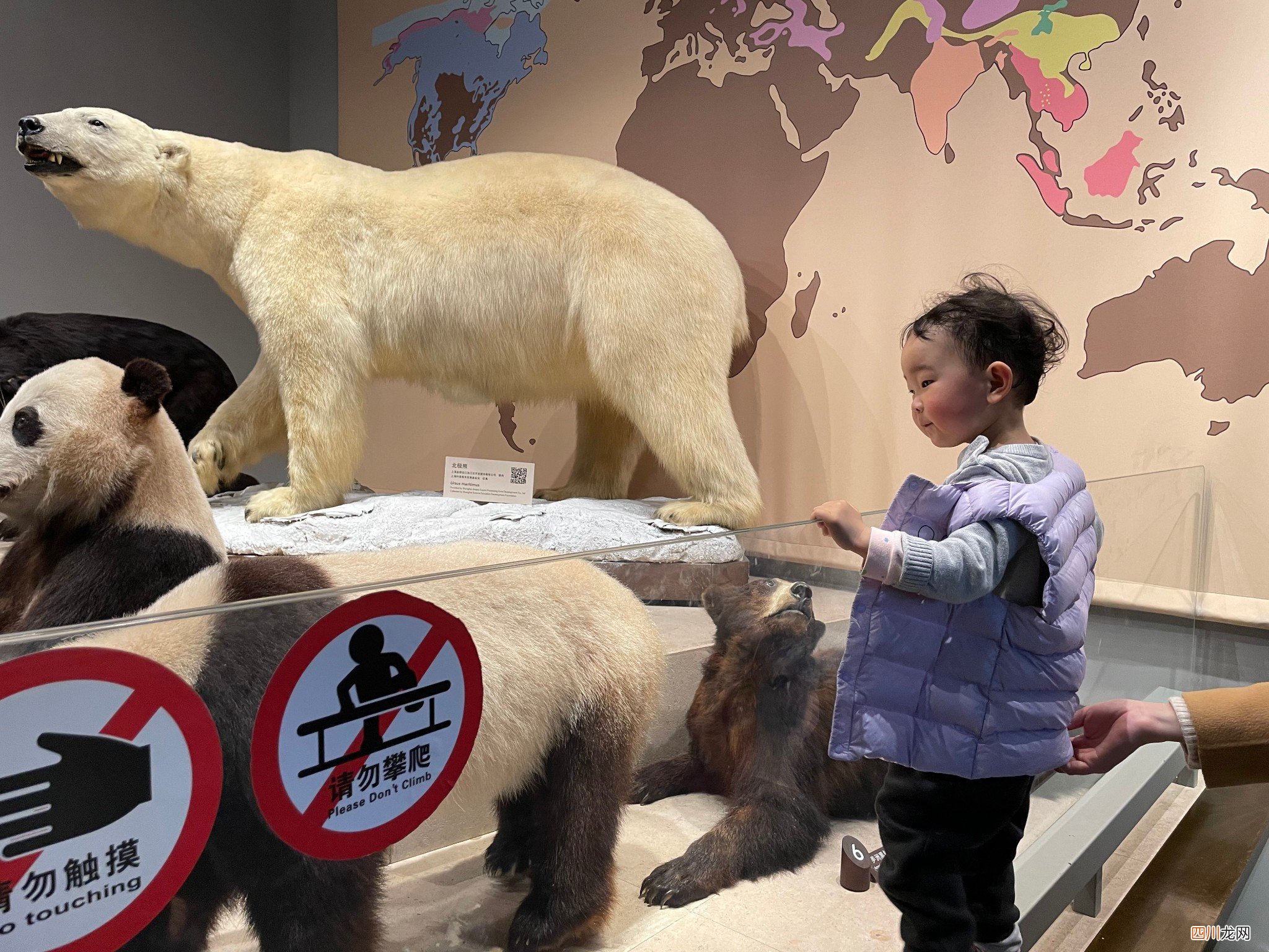 2021奇妙之旅，小朋友首游上海