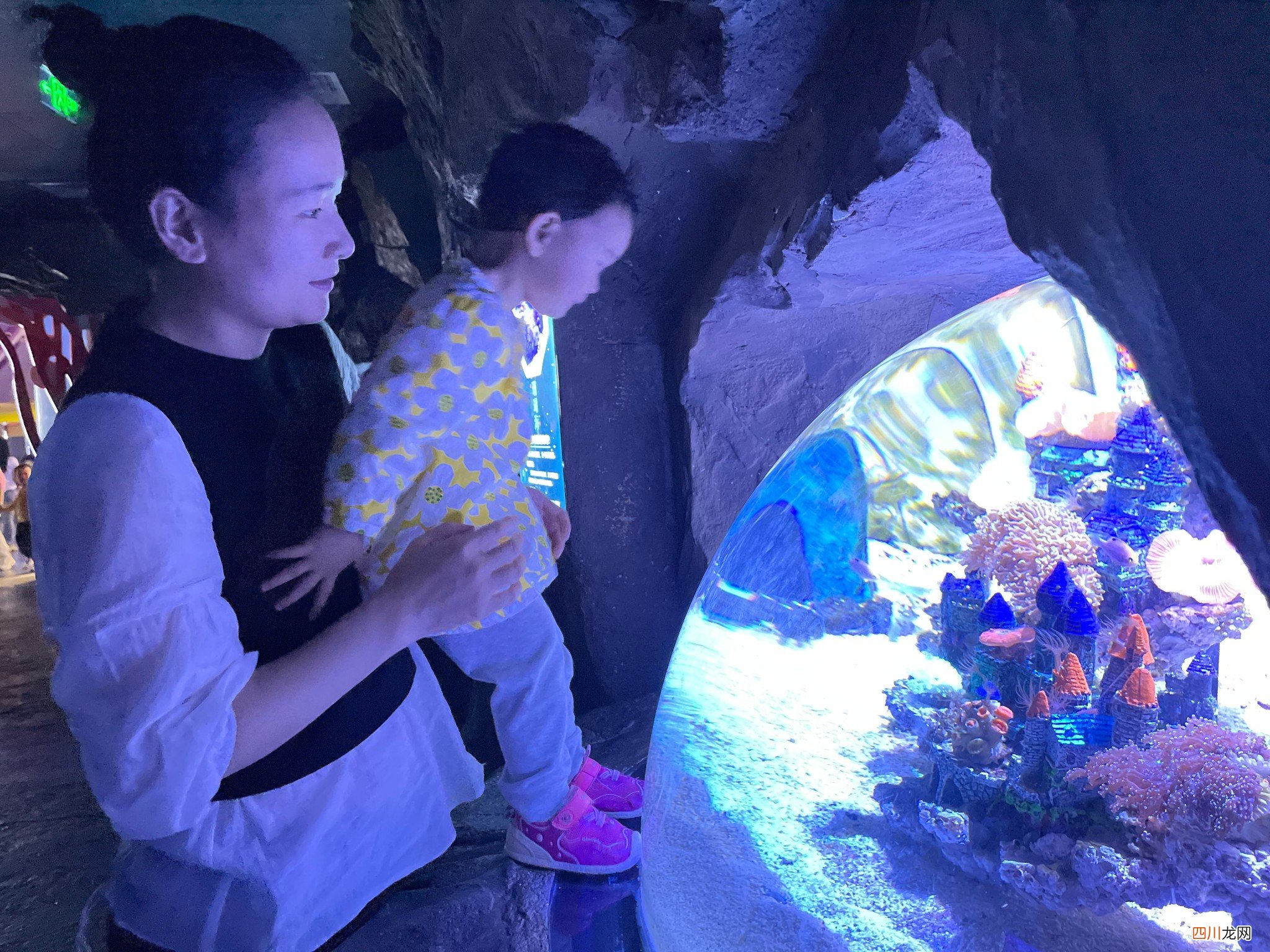 2021首飞之旅，小朋友畅游南昌