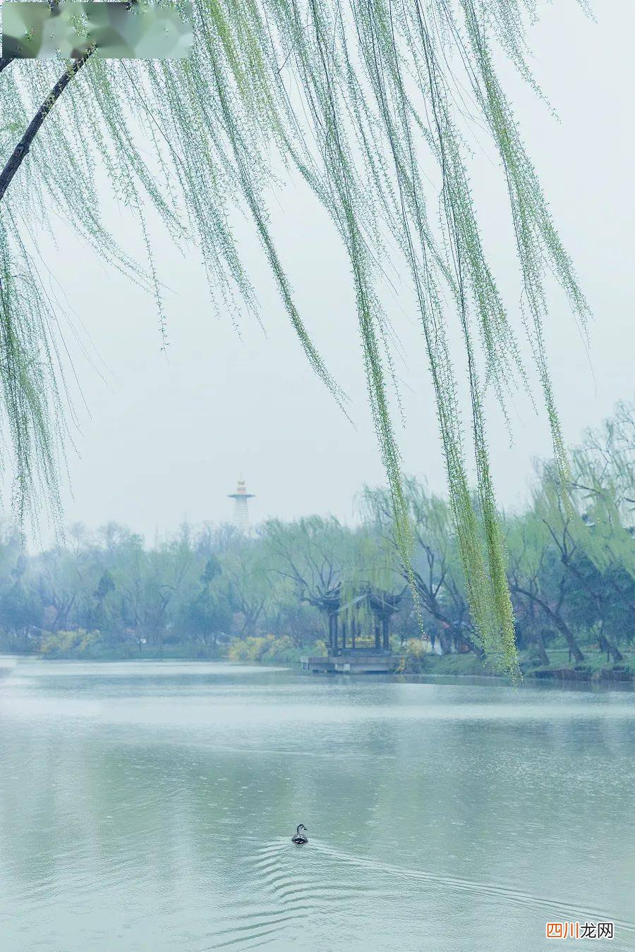 UC下一页：愿春日美好与你环环相扣