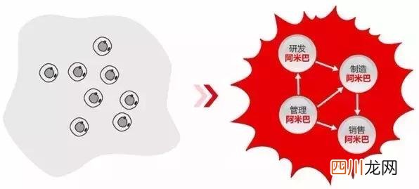 阿米巴经营管理模式的本质是什么 什么是阿米巴经营模式
