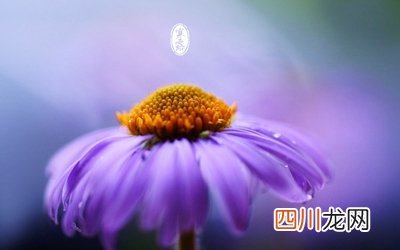寒露不能做什么？2021年寒露节气是吉日吗？