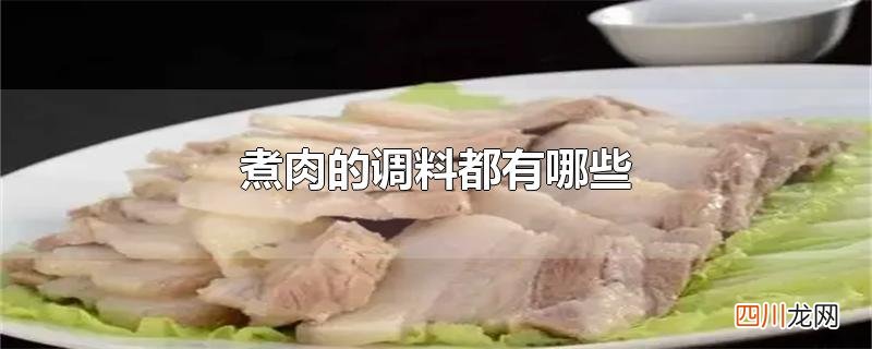 煮肉的调料都有哪些