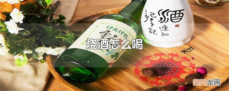 烧酒怎么喝