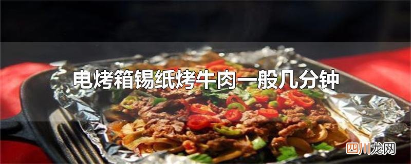 电烤箱锡纸烤牛肉一般几分钟