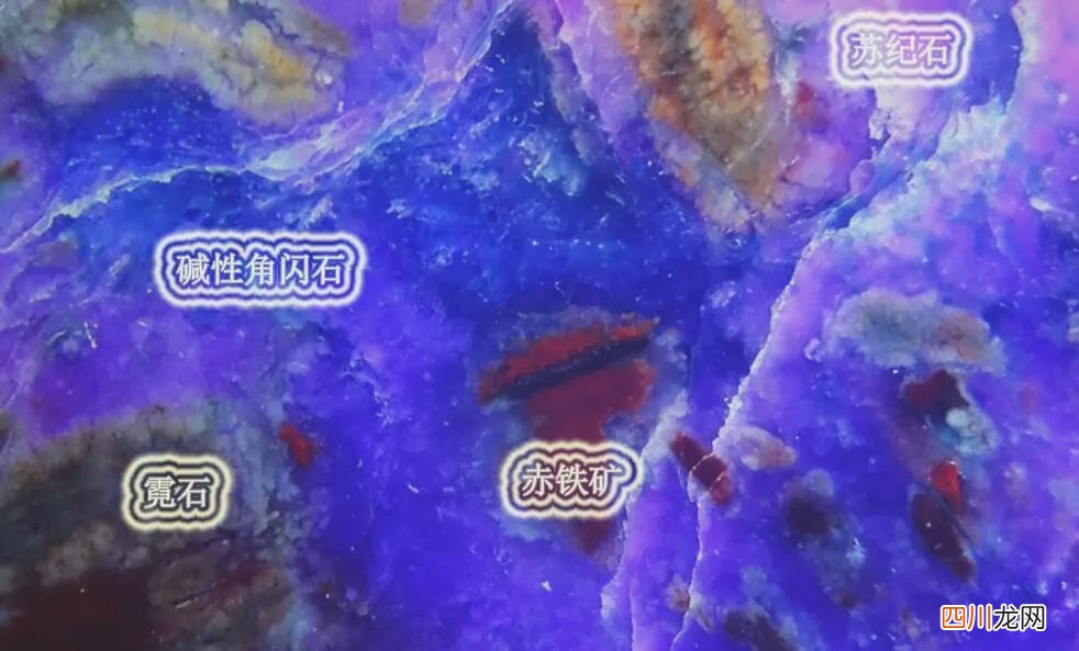 舒俱来为什么那么贵？舒俱来的功效与作用是什么?