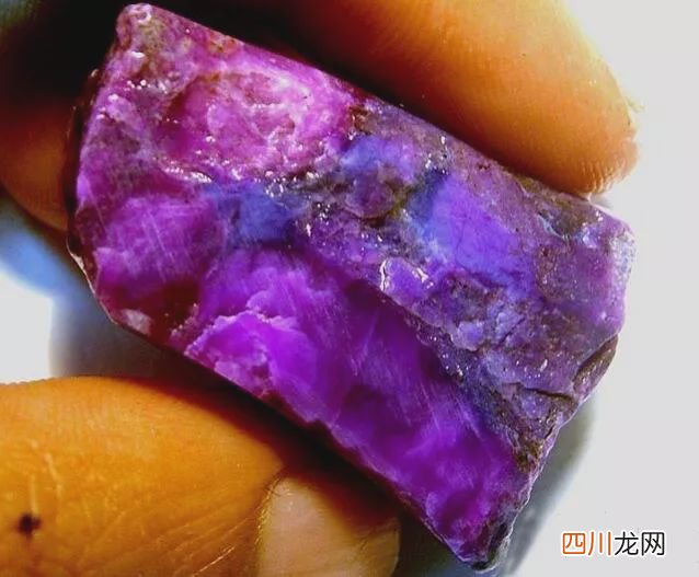 舒俱来为什么那么贵？舒俱来的功效与作用是什么?