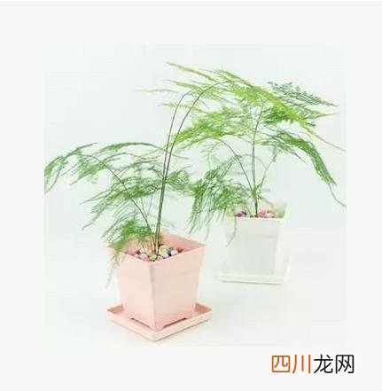 毕业季适合送给老师的礼物 适合送给老师的礼物