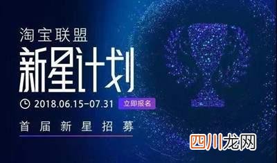 国内最大的手机网络赚钱项目 网站是怎么赚钱的