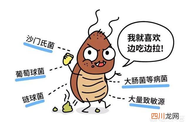厨房除蟑螂最有效的方法 除蟑螂最有效的方法