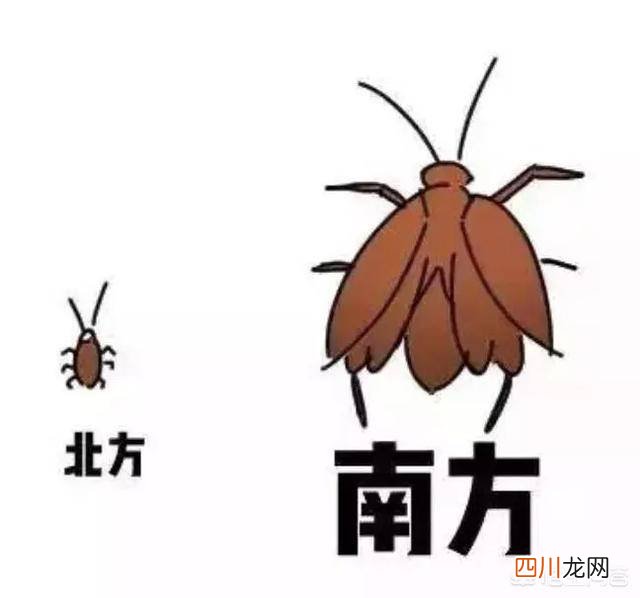 厨房除蟑螂最有效的方法 除蟑螂最有效的方法