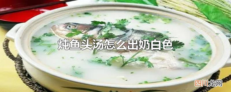 炖鱼头汤怎么出奶白色
