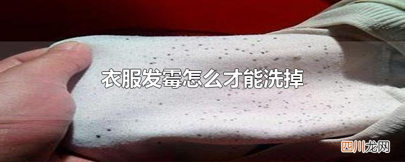 衣服发霉怎么才能洗掉