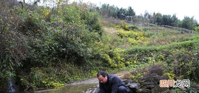 蚂蚁庄园今日答案：旅游时遇到山泉水可以直接饮用吗