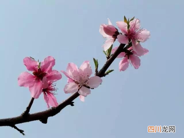 转运有效的8个方法 民间有效的开运方法
