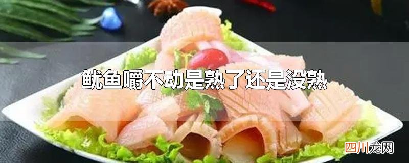 鱿鱼嚼不动是熟了还是没熟