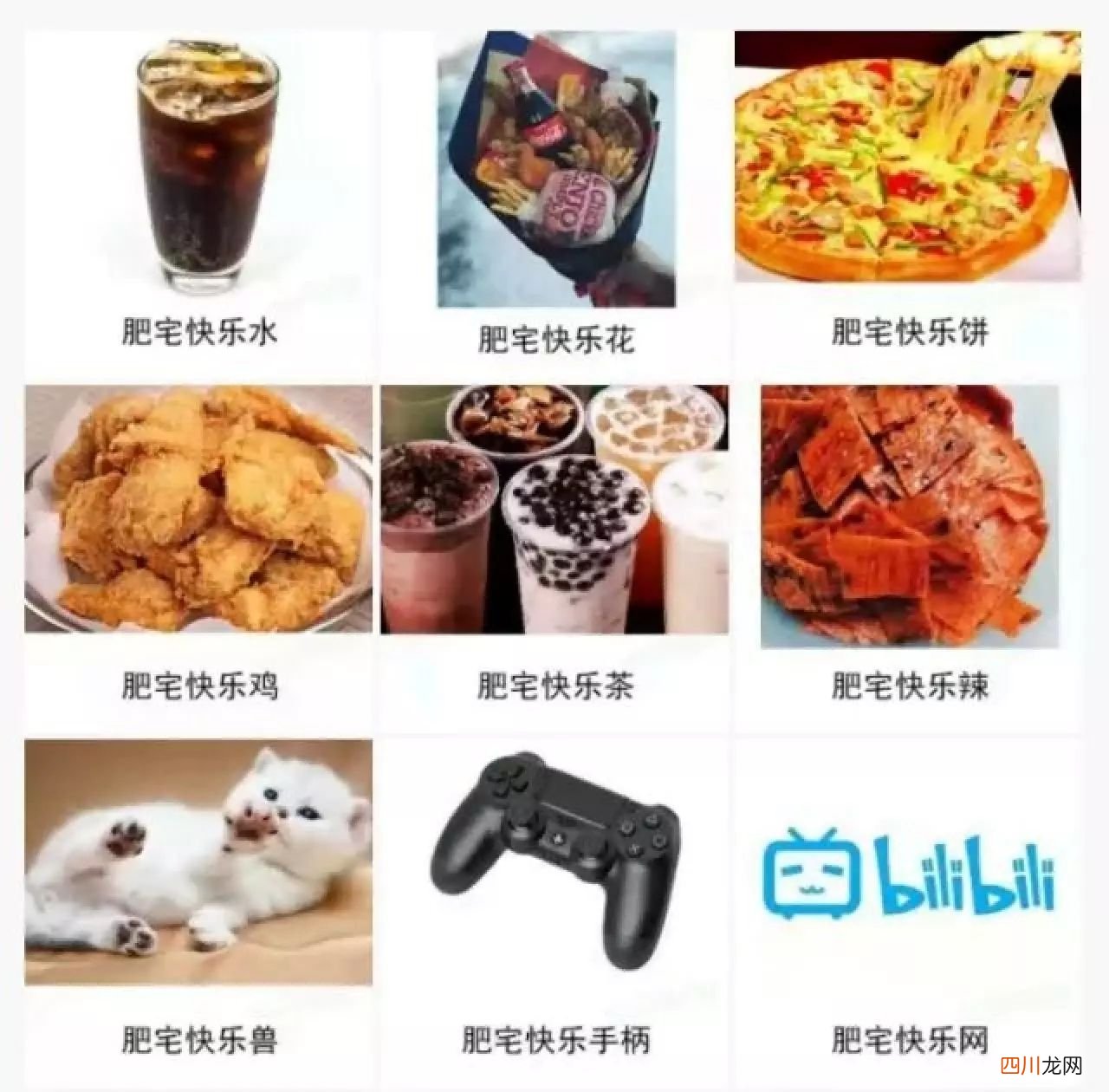 还不懂肥宅快乐水是什么梗？ 肥宅水是什么东西