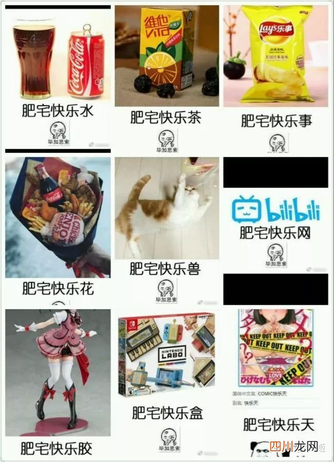 还不懂肥宅快乐水是什么梗？ 肥宅水是什么东西