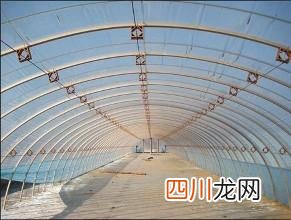 这几个项目不要错过 2020农村创业小项目推荐