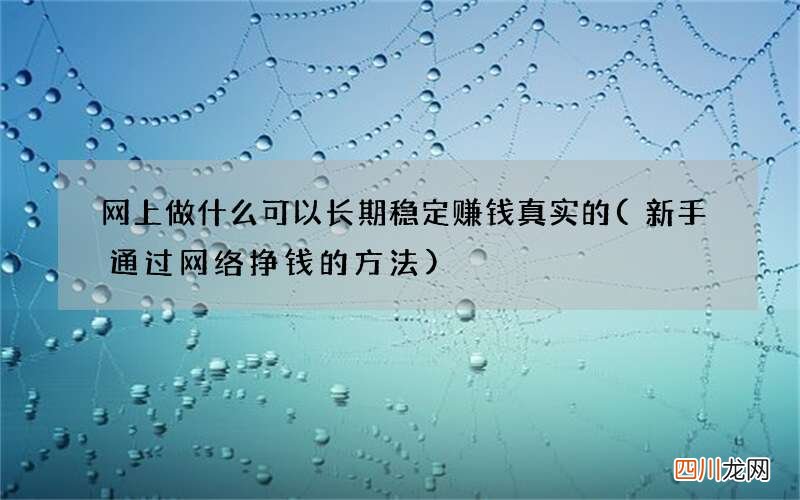 新手通过网络挣钱的方法 网上做什么可以长期稳定赚钱真实的