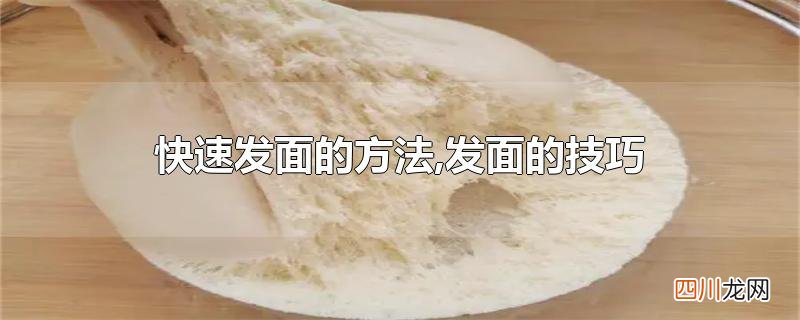 快速发面的方法,发面的技巧