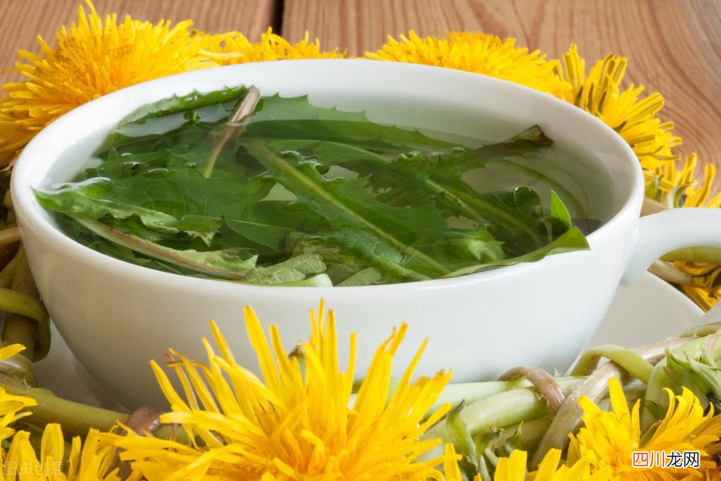 这3类人别乱喝 蒲公英茶的功效与作用