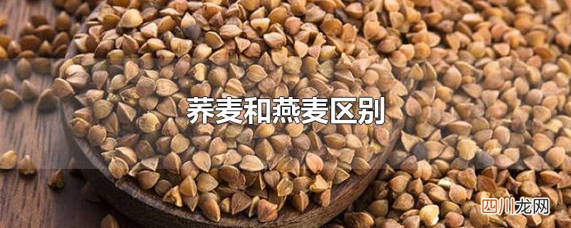 荞麦和燕麦区别