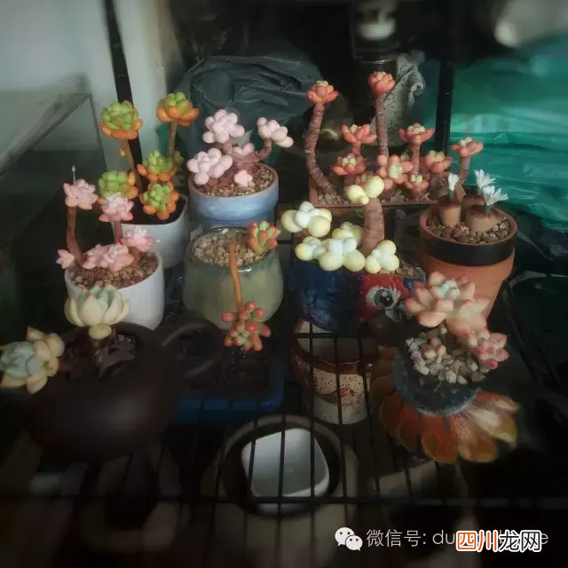 儿童粘土干了该怎么把它变软 粘土干了怎么办