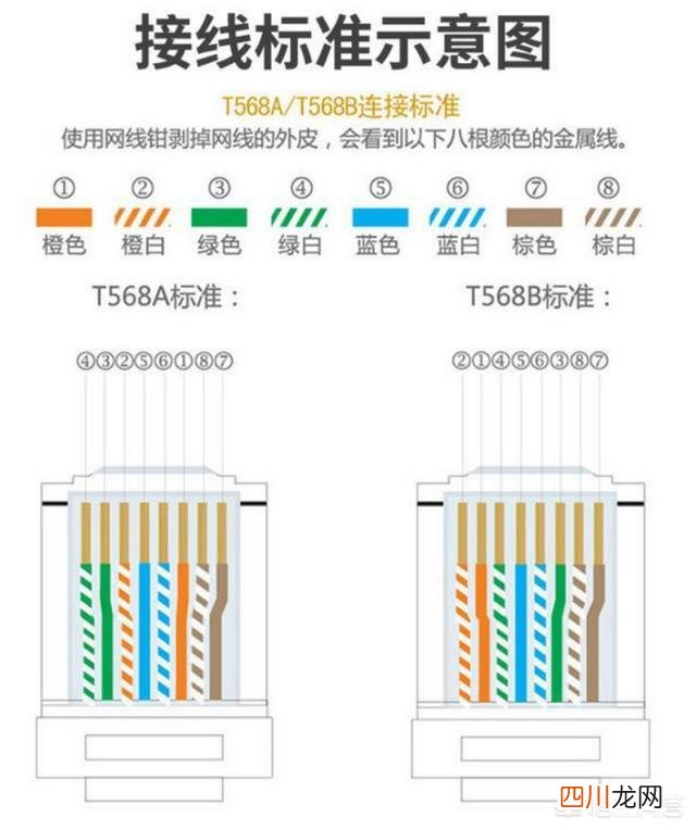 5类6类水晶头图片对比 5类6类水晶头区别