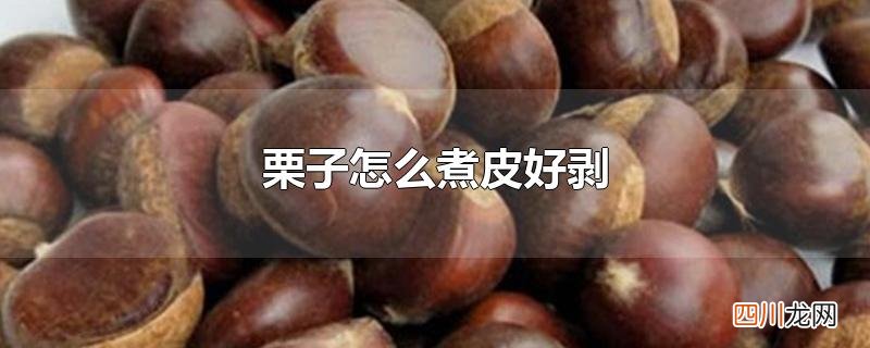 栗子怎么煮皮好剥