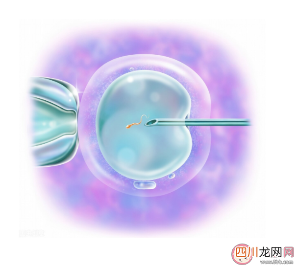 试管婴儿怀孕更容易流产吗 怀孕难试管婴儿是首选吗