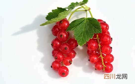9种孕期不能吃的食物 孕妇不能吃的食物有哪些